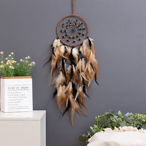 Dream catcher hanging on white wall with plants